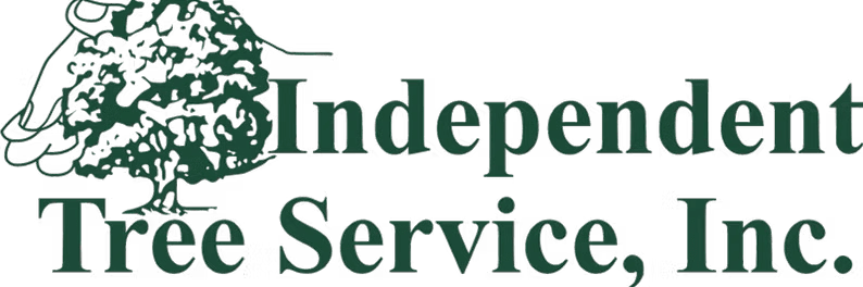 Independent Tree Service, Inc. - Tampa Certified Arborists