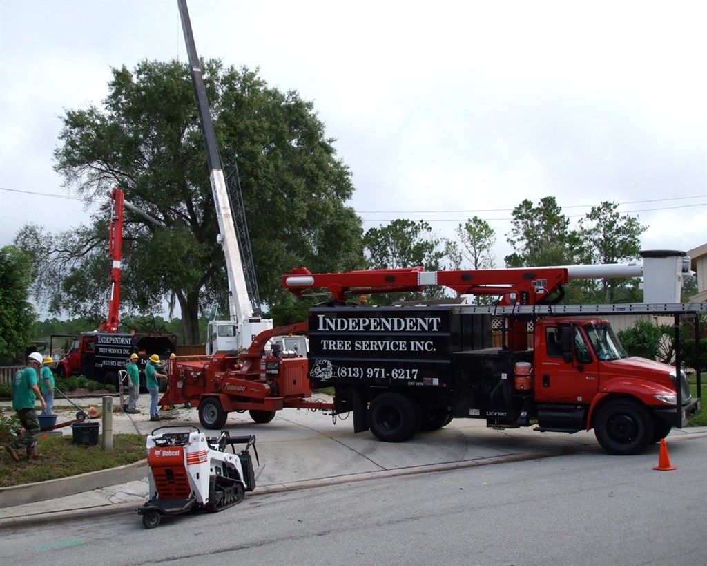 Independent Tree Service Inc trucks and equipment on suburban street