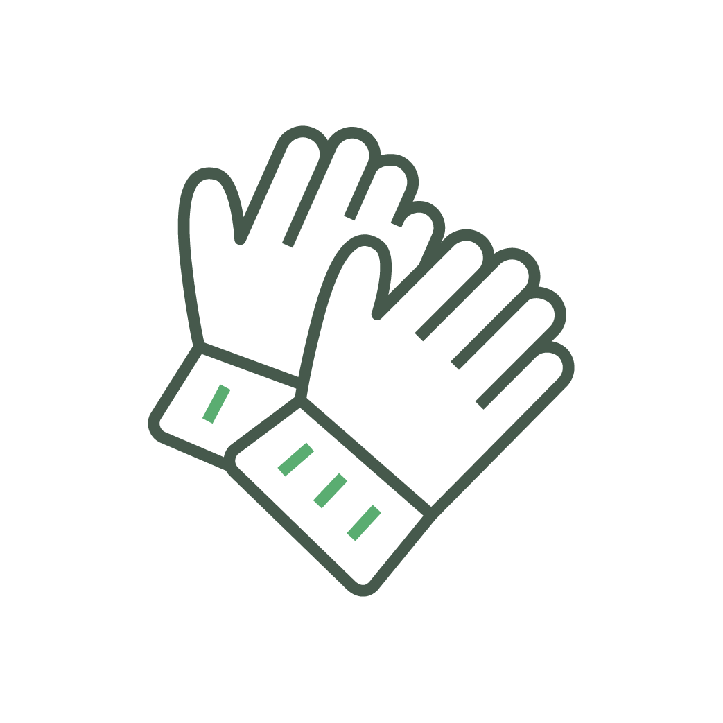 Your Tree Care Begins Icon